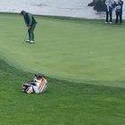 Bill Murray is Awesome (stolen from Twitter for a change)