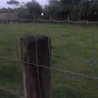 A little help rolling