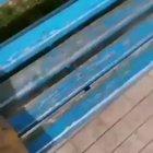 To feed a stray dog McDonald's