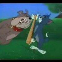 O davi não vai não