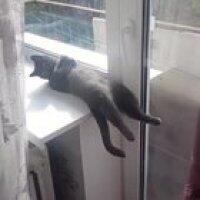 Бать, тебе нормально?