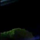 My cousin who lives near Jalalpa, Mexico got this from her a local FB group she's in. She and I have no idea what this is or what it could be, any thoughts?