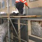 This guy is shit at the dissapering act