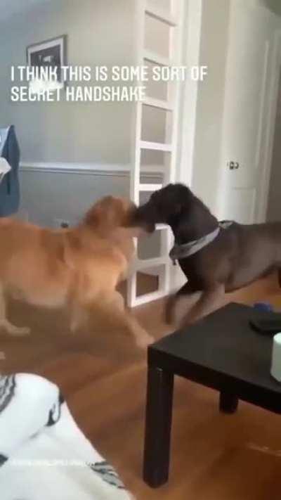 Let me a get whiff of the other side