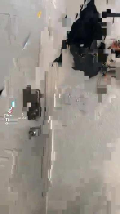 Кто, кто? Конь в пальто!