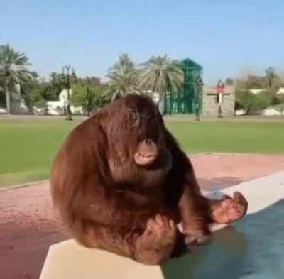 monke in da summer 😩💦