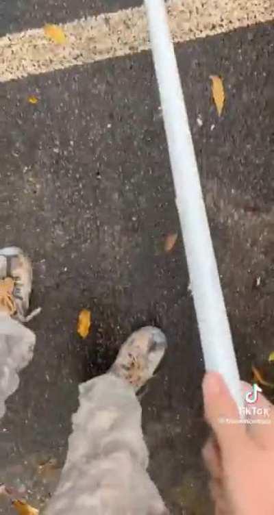 The golden ticket to a OSHA violation.