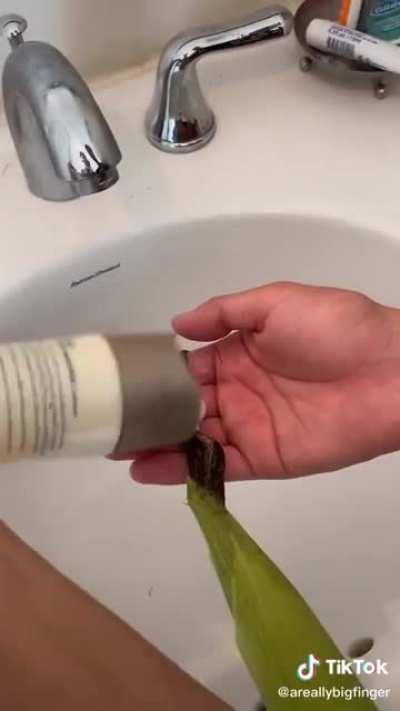 A quick hair tutorial