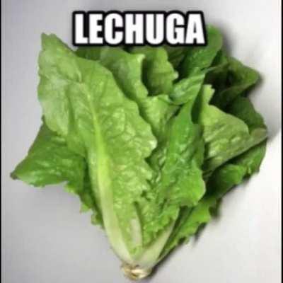 Ew is probably my fav off the album