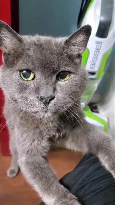 Bertram, now 24!, needs your immediate attention.