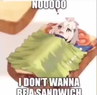 nooo i dont wanna be a sandwich