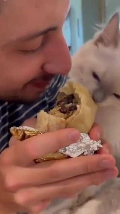 I will fight you for this burrito