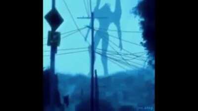 Look out, Siren head! Nerv has sent backup!