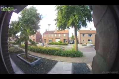 Wtf Big bird fly's against streetlight