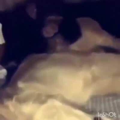 Dont know if someone has already done this edit,but I like yo cut G