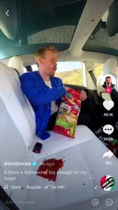 “Is there a dishwasher big enough for my Tesla”