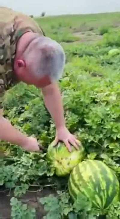 Our Hero, General Dmytro Marchenko, is cutting a ripe Kherson Watermelon right on a field somewhere in the Kherson oblast