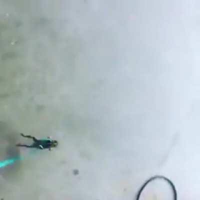 When Syndra takes Gromp with her w