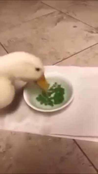 Made this a while ago, saw it again and thought it was funny so thought I'd share it here (bit late for sunday too, I know)