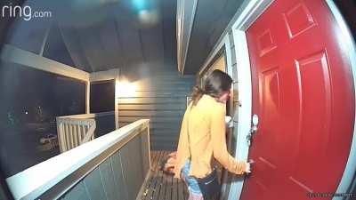 HMC while I say hi to the kitty