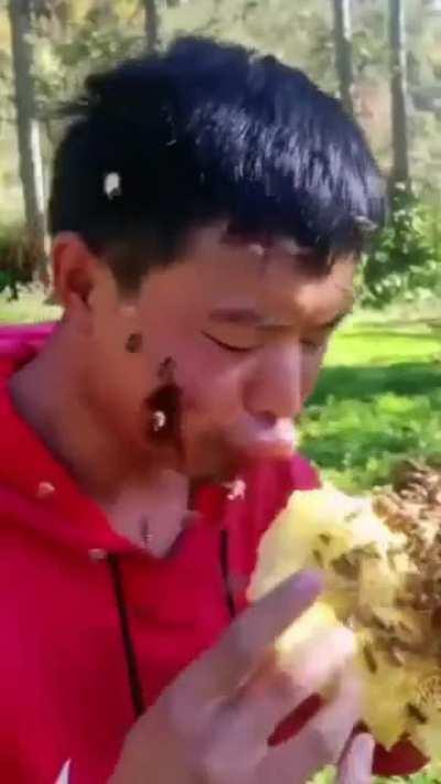 Eating Honey while getting stung by Bees