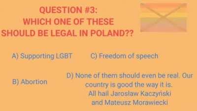Polish social credit test