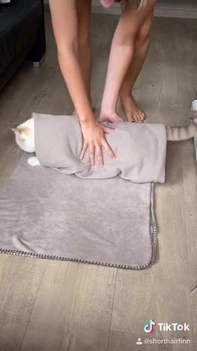 Home made burrito 🌯😅