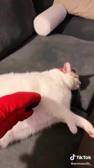 Big boy gets a shake