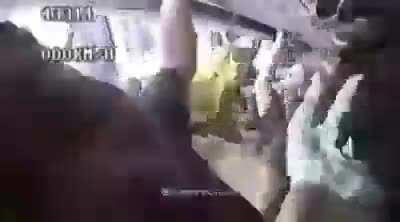 Thanks, I hate magic school bus irl