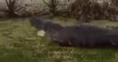 Neymar já se vacinou