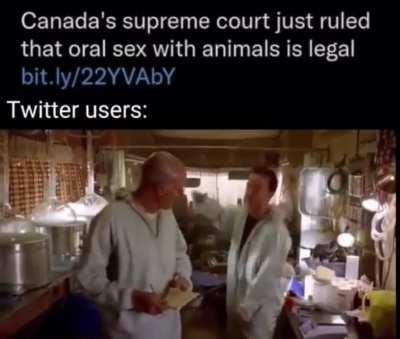 Jesser, where are the passports we need to go to Canada