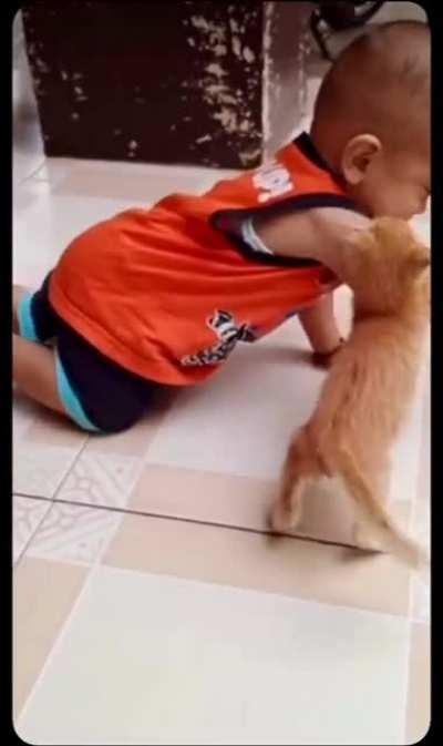 Ferocity Comes In Tiny Orange Packages