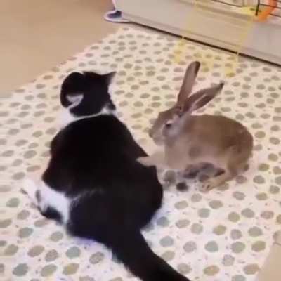 osjxhapjwjzlaoskaoxkwidkkapainapalsapwos