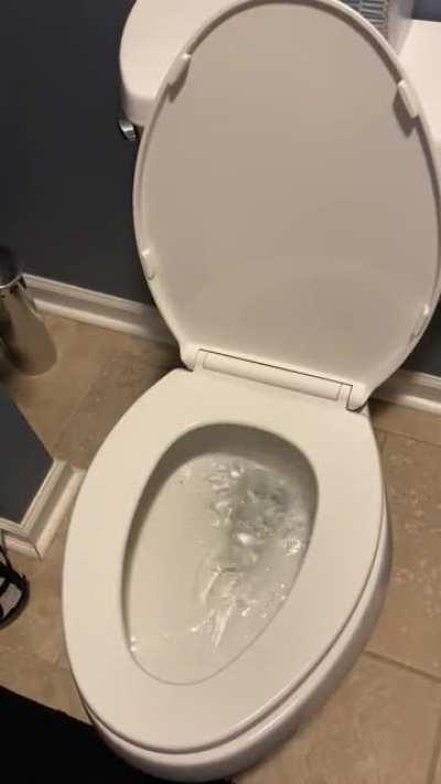 Never a good sign if you have a septic field! (Sound on)