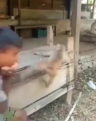 Randozilla Uncensored Coming Soon!