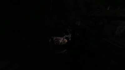 A dutyer started a bonfire to help me keep my NV's batteries :3