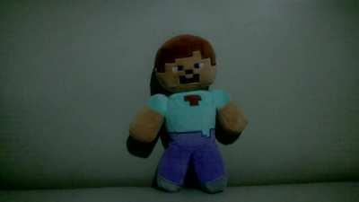 my friend has a steve plushie and..