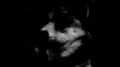 Doge becoming uncanny