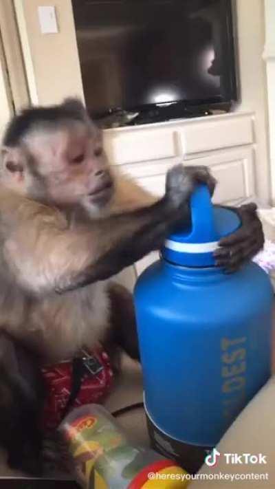 Gotta read the instruction manual