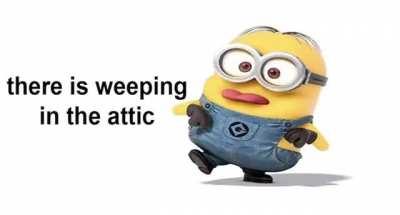 I almost died laughing 😂