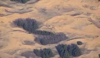 UA POV: Himars strike on Russian troop concentrations in the Kherson region, today. 