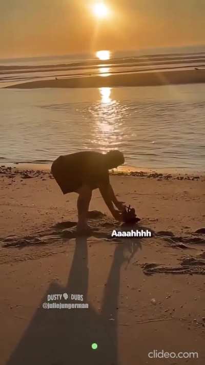 Woman pulls crab out of water