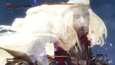 guys, I think there's something wrong with my copy of Sekiro....