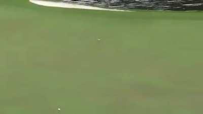 When Oda explains the One Piece