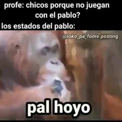 pal hoyo wn B(