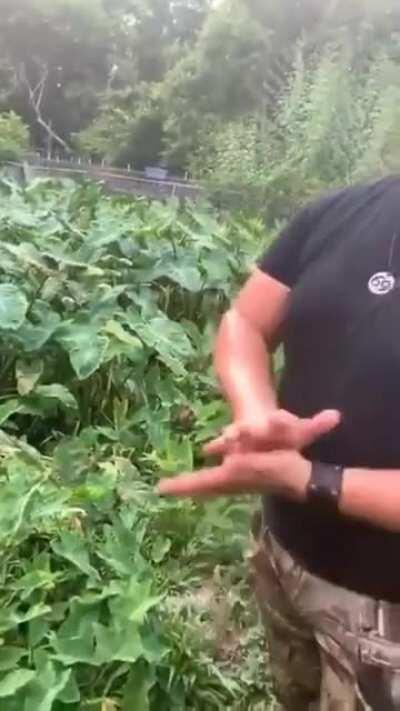 A year ago today, the Instagram live during the video shoot of 