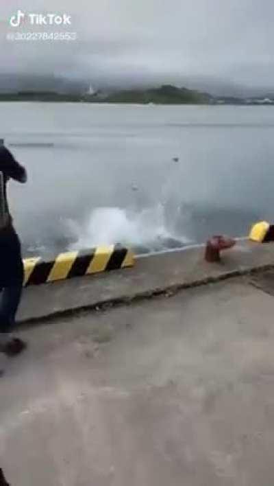 This new fishing technique.