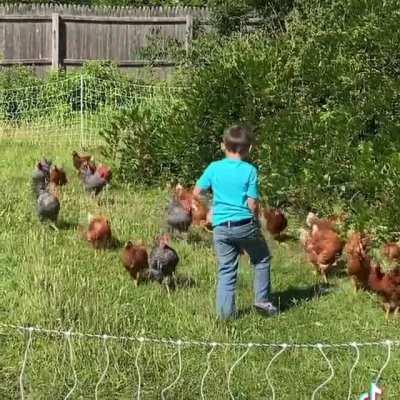 When 60 tiny T-Rex’s are chasing your kid.