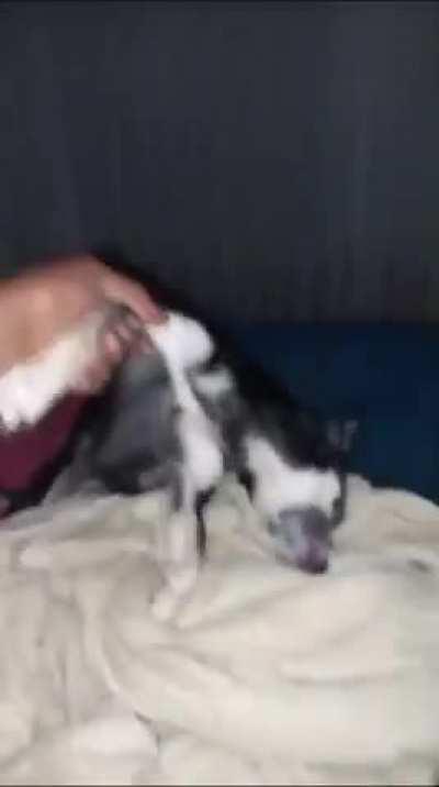 É o goza e dorme não tem jeito 