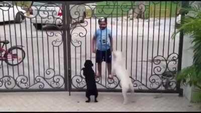 These cuties dancing together!